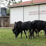 Expo 201802